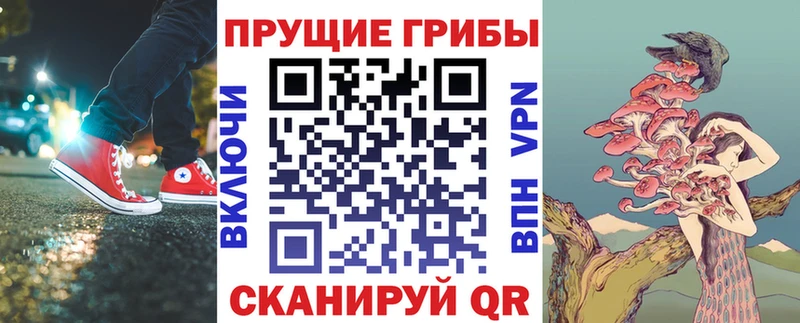 Галлюциногенные грибы Psilocybe  Купить где  Тимашёвск 
